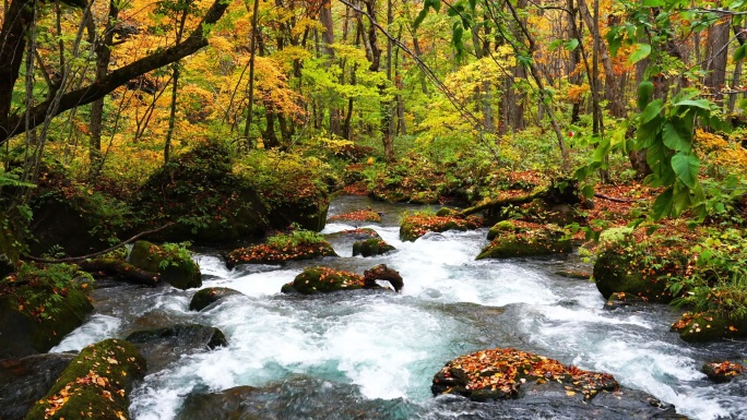 山间的小溪山泉水溪水溪流山涧