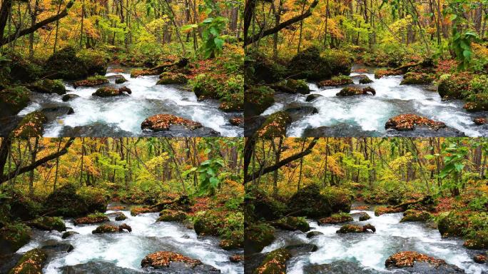 山间的小溪山泉水溪水溪流山涧