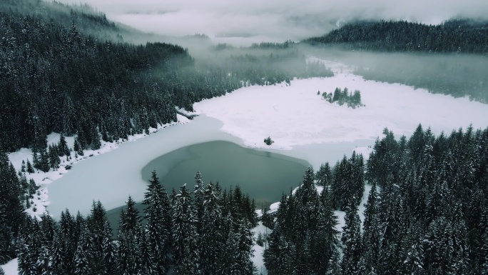 雪山森林中令人惊叹的湖景