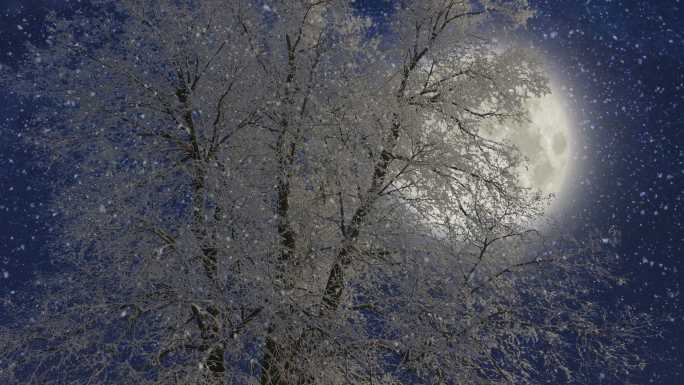 冬季多雪的森林冬季雪花下雪雾凇风景