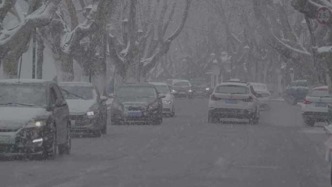 西湖大雪车流游客赏雪断桥log素材