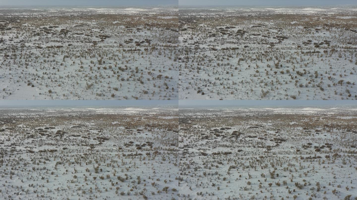 准格尔盆地的雪景素材（4K高清）