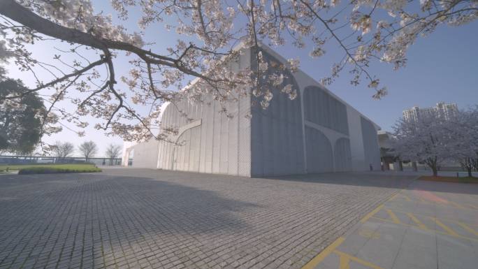 上海龙美术馆樱花盛开