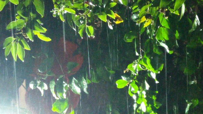 下雨天灯光下的夜雨村叶雨景夜晚路灯雨