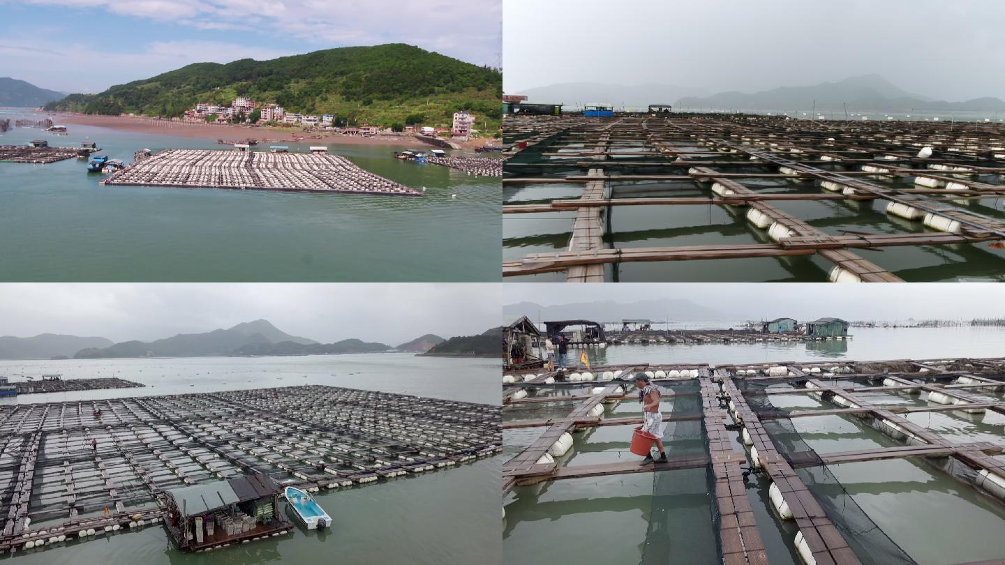 中国福建水上漂浮养殖场，渔民在木板间穿梭