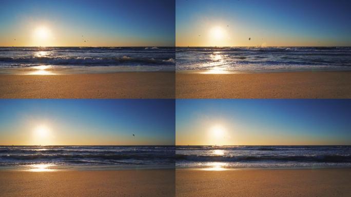 海滩上的日出。海沙滩鸟