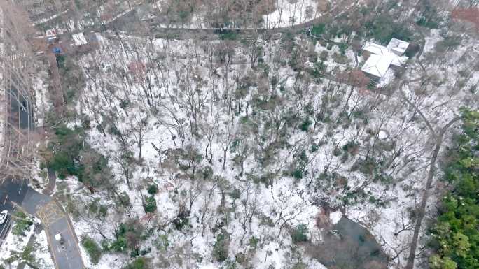 南京紫金山雪景航拍 美龄宫 中山门 南博