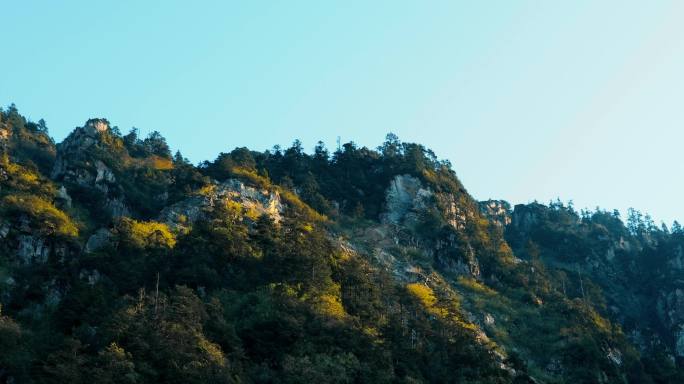 大山  日落  森林  悬崖