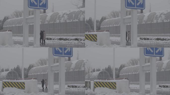 城市雪景