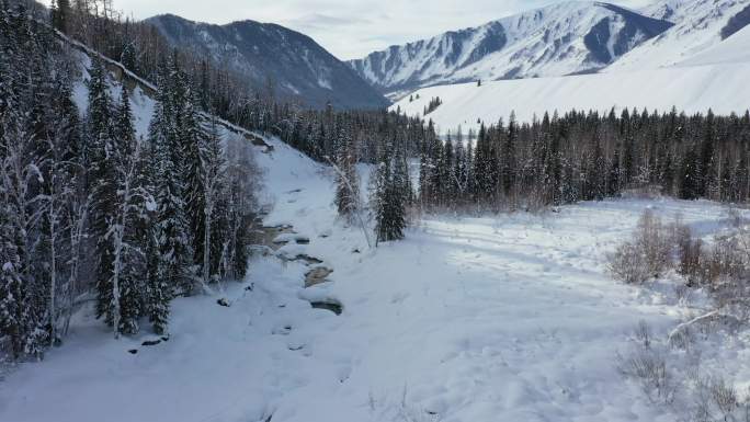阿尔泰山区的雪景素材（4K高清）