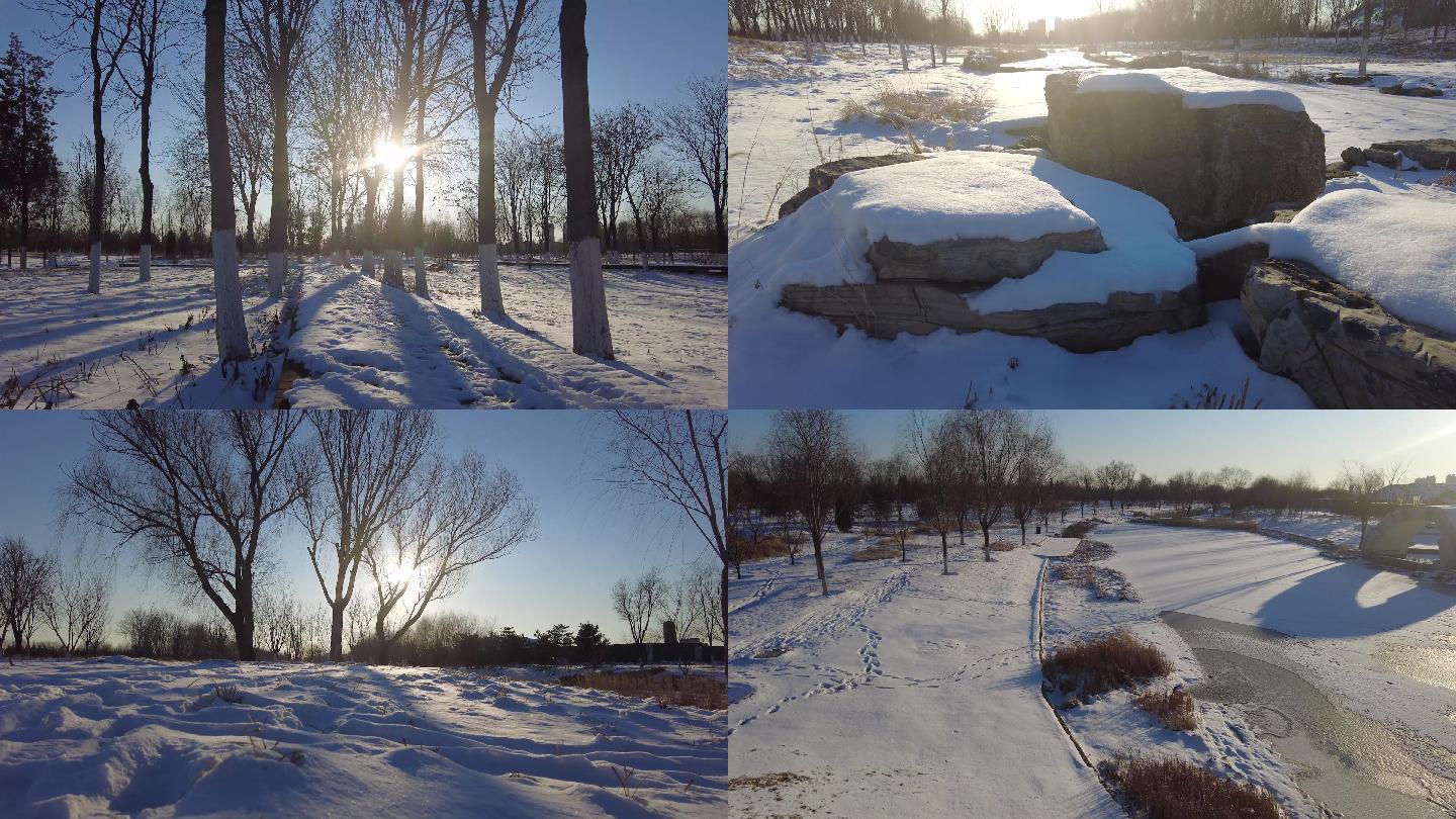 公园雪景 白雪茫茫冬天的公园阳光透过树枝