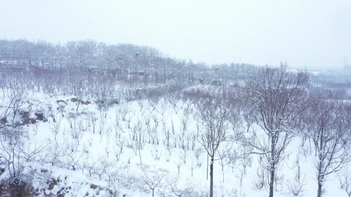 山涧雪景