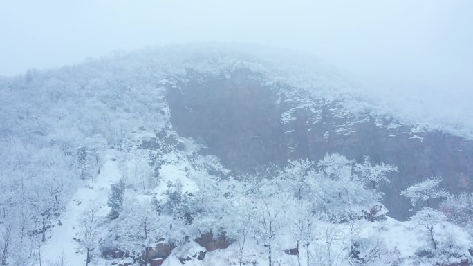 山坡雪景