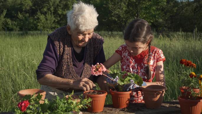 孙女和祖母在花园里种花。