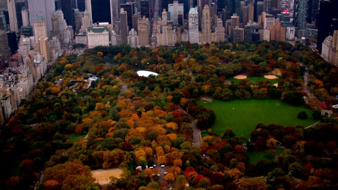 纽约市中央公园秋季鸟瞰图