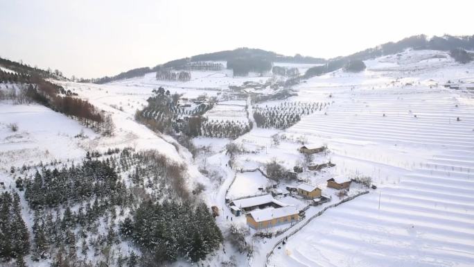 吉林松岭雪村高清航拍全景