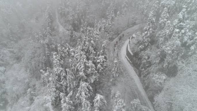 电网巡线 雪景 除冰 电力 4K