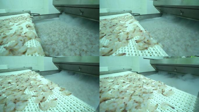 冷冻虾的生产线鲜冻包装低温