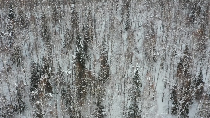 阿尔泰山区的雪景素材（4K高清）