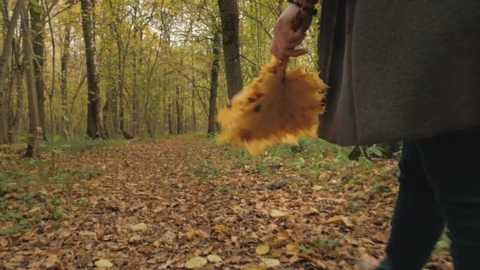 女孩手里拿着一束落叶穿过秋天的森林。