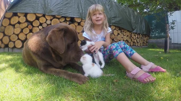 小女孩在花园里和小猫玩耍