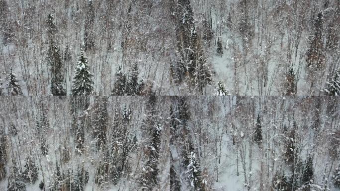 阿尔泰山区的雪景素材（4K高清）