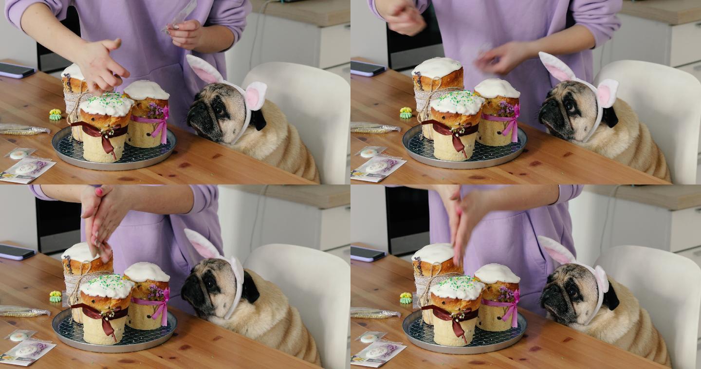 可爱的狗看着年轻女子装饰着蛋糕
