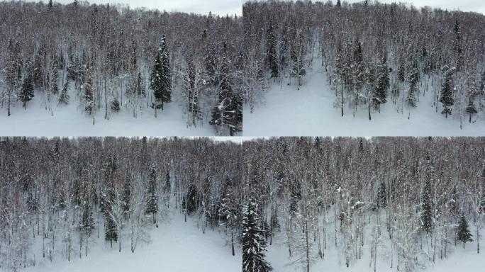 阿尔泰山区的雪景素材（4K高清）