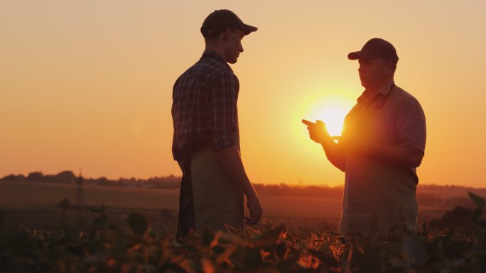 日落时分，两位农民在田地上握手