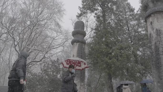 紫金山雪景拍摄