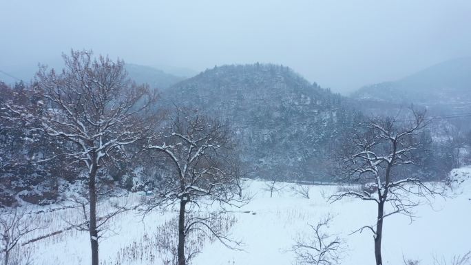 山坡雪景