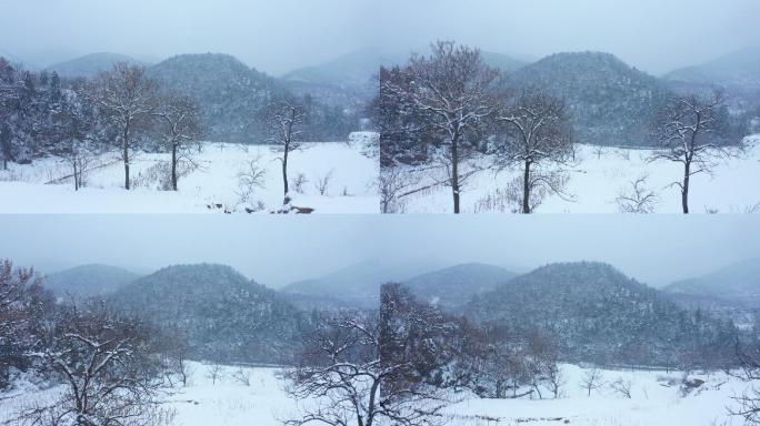 山坡雪景