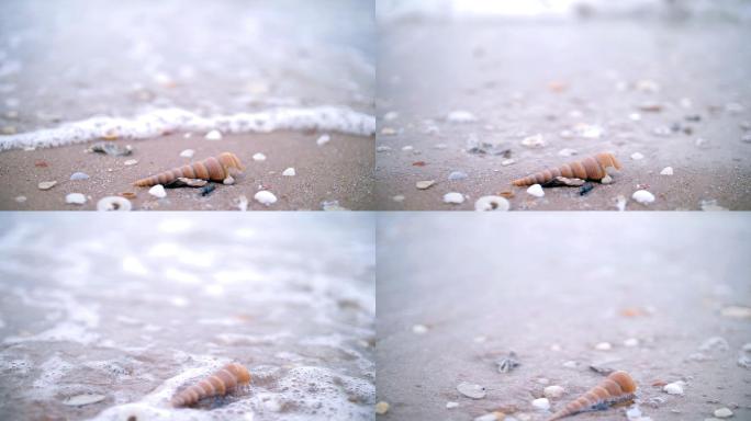 海浪拍打着沙滩上的贝壳