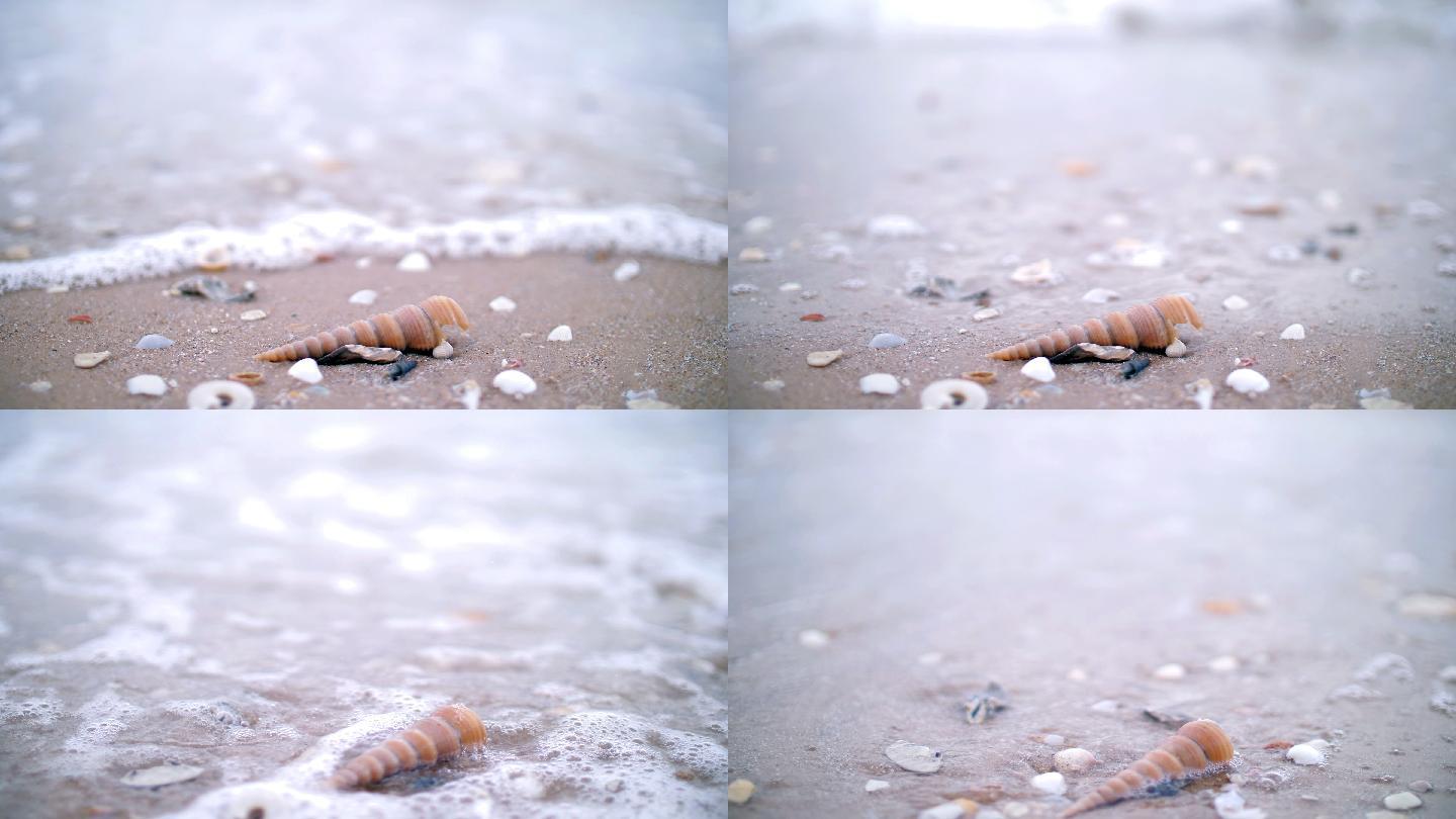 海浪拍打着沙滩上的贝壳