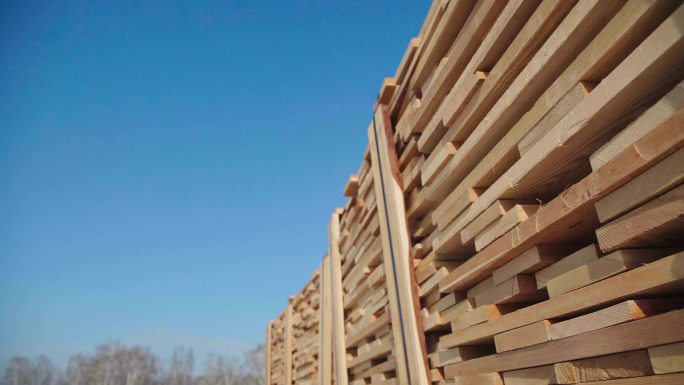 胶合板的木材生产