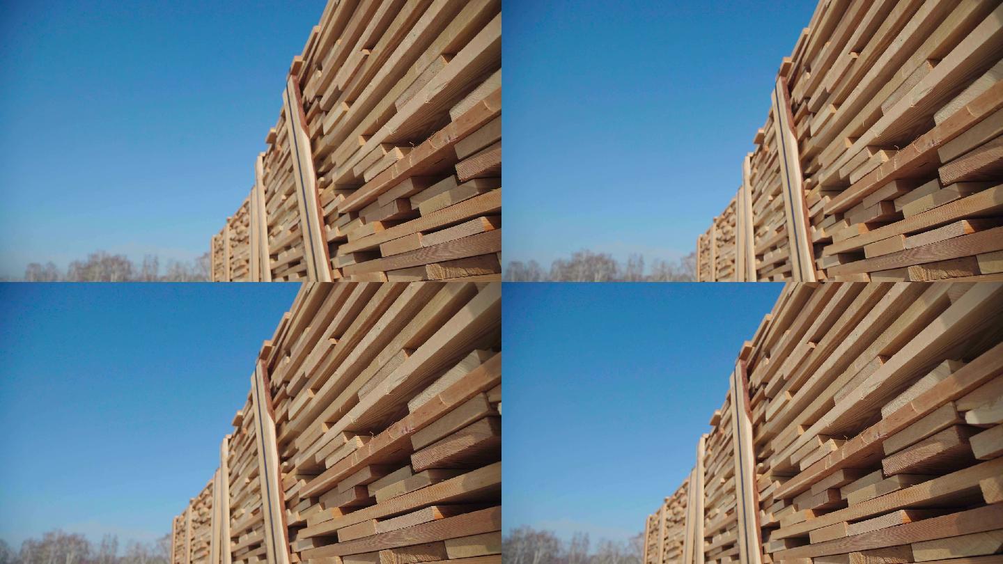 胶合板的木材生产