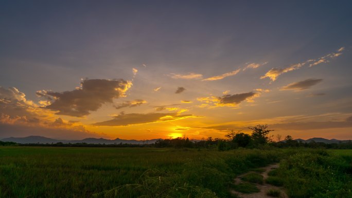 稻田和日出昼夜交替朝阳夕阳