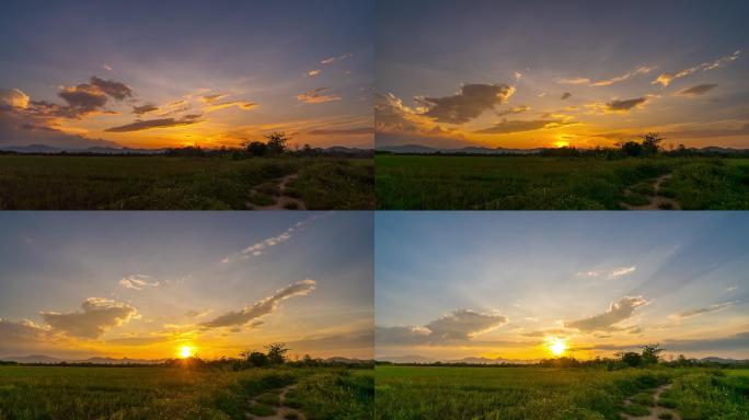 稻田和日出昼夜交替朝阳夕阳