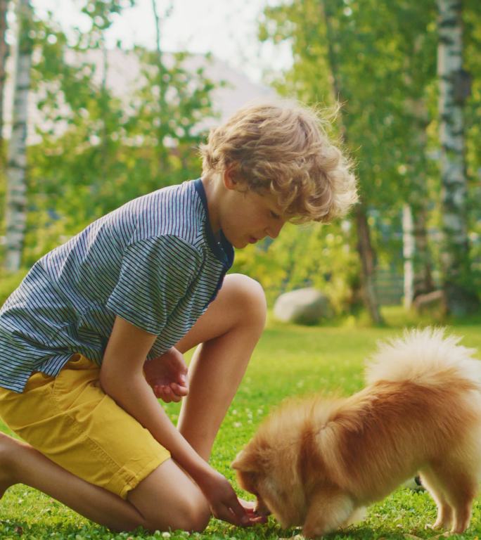 小男孩在后院和可爱的小狗玩耍。