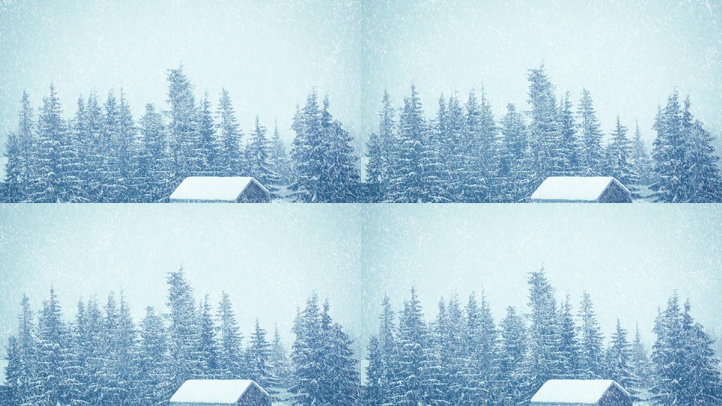 白雪覆盖的树和小屋