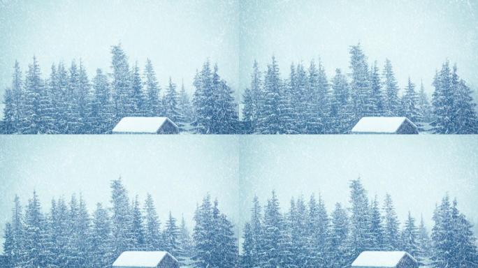 白雪覆盖的树和小屋