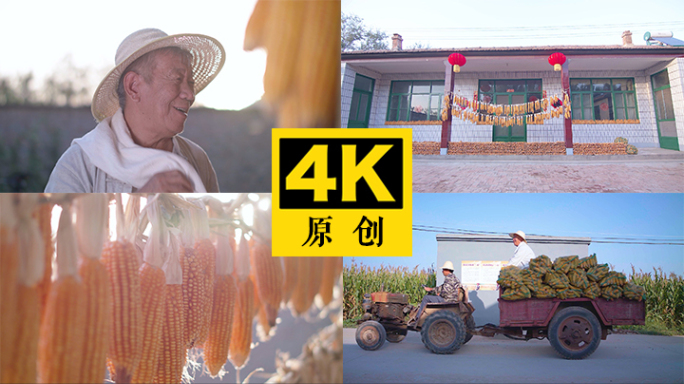 农民收获喜悦 4K版