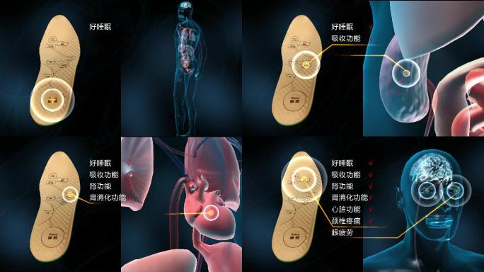 MAX+AE皮鞋医疗产品动画视频工程