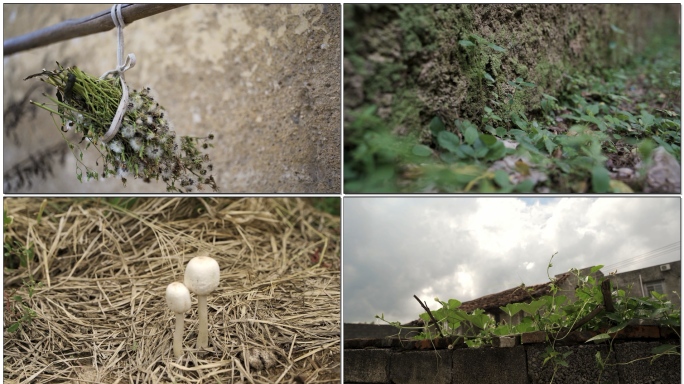 农村乡村空镜头