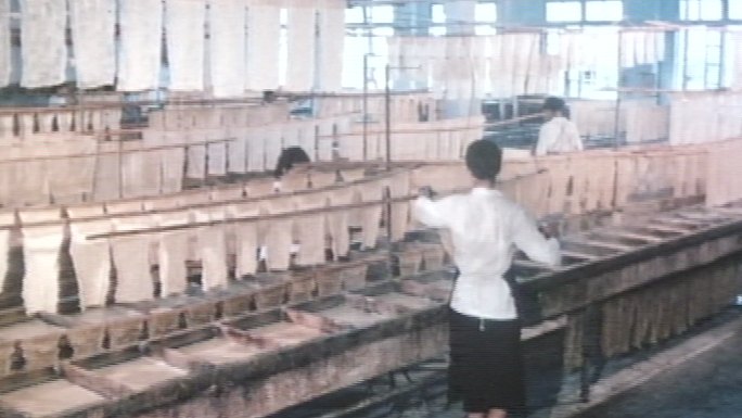 八十年代腐竹厂