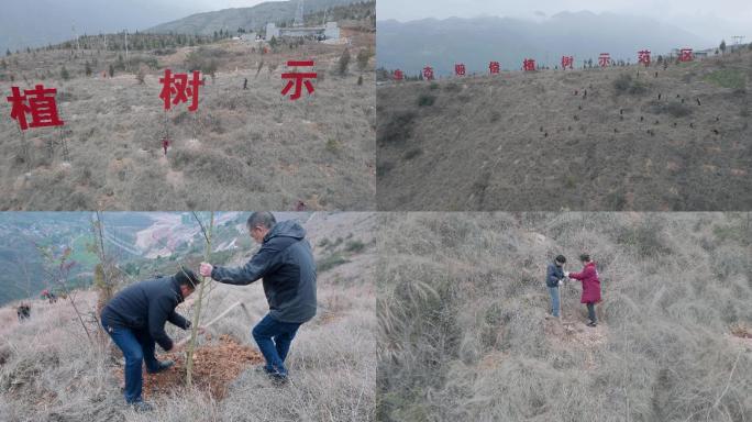 实拍多镜头大型植树种树造林活动