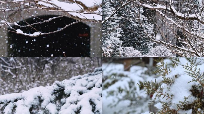 4K 下雪小雪节气下雪天