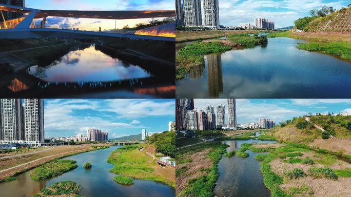 4k生态城市绿化实拍