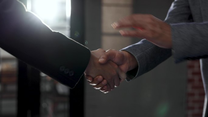 商务人士在达成商业协议时握手。