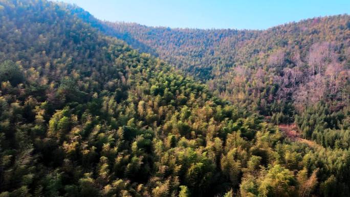 富阳竹纸产地大同村航拍 村庄 富阳竹纸